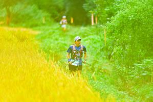 BIB: 
                            <button type="button" onclick="openModal(13455435)" class="btn btn-primary btn-sm float-right btn-popup" data-toggle="modal" data-target=".modal-high-quality">
                        <i class="fas fa-shopping-cart"></i> Add to Cart
                    </button>
                                            <button type="button" onclick="isThisMe(13455435, true)" class="btn btn-success btn-sm float-right btn-popup btn-isme hidden" data-toggle="tooltip" data-placement="bottom" title="นี่คือรูปของคุณใช่ไหม คลิกที่นี่เพื่อเอาเข้าอัลบั้ม">
                        <i class="fas fa-plus"></i> Add to album
                    </button>
                    <button type="button" onclick="isThisMe(13455435, false)" class="btn btn-warning btn-sm float-right btn-popup btn-isnotme hidden">
                        <i class="fas fa-ban"></i> Remove from album
                    </button>